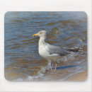 Search for gull electronics Shore