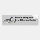 Recherche de chien traîneau voiture autocollants Sibe