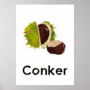 Search for conker Nature
