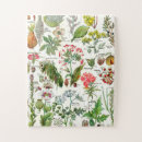 Search for botanical puzzles Plant