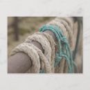 Search for roping postcards Usa