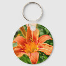 Search for orange tiger keychains Photography