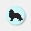 Recherche de colley magnets Animaux familiers