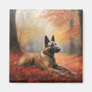 Search for malinois magnets Pet