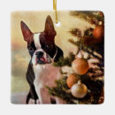 Recherche de boston terrier ornements Canine