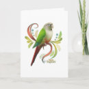 Search for conure cards Parrots
