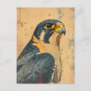 Recherche de merlin cartes postales Oiseau de proie