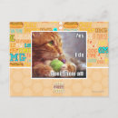 Search for i need postcards I can has cheezburger