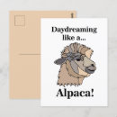 Recherche de d alpaga cartes postales Pour elle
