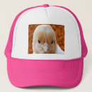 Recherche de le poulet casquettes Pour elle