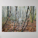 Search for web posters Spider