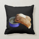 Search for guinea pig pillows Pet