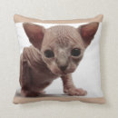 Recherche de kat maison deco Mignon