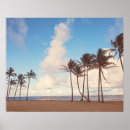 Search for kauai posters Tropical