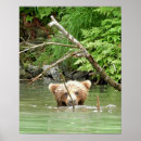 Search for bear posters Grizzly