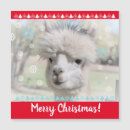 Search for alpaca christmas cards Winter
