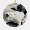 Recherche de chiot de pitbull ornements Amour