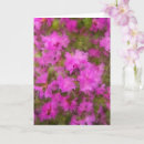 Search for azalea cards Rhododendron