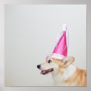 Search for cute puppy posters Baby animals