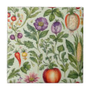 Recherche de légumes carreaux Herbes