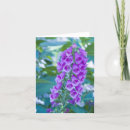 Search for foxgloves cards Forest