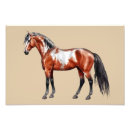 Recherche de paint horse posters Animal