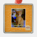 Search for journalism ornaments I can has cheezburger