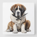 Recherche de chien de bernard posters Grand