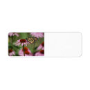 Search for black eyed susan return address labels Nature