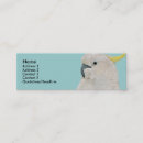 Recherche de cacatoès cartes visite Perroquet