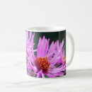 Search for asters mugs Nature