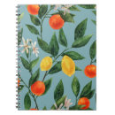 Search for branch notebooks Retro