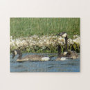 Recherche de oies puzzles Oie canadienne