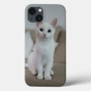 Recherche de chat iphone 7 coques Blanc