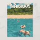 Search for swimming pig Bahamas flag
