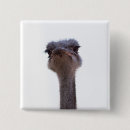 Recherche de autruche badges Animal