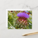 Recherche de artichoke cartes postales Légume