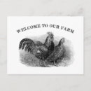 Recherche de élevage cartes postales Ferme