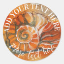 Search for sea shell stickers Watercolor