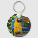 Search for bird pet round keychains Colourful