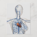 Search for three dimensional postcards Circulation
