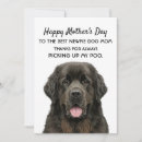 Search for adopt a pet invitations Dogs