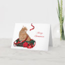 Search for tabby christmas cards Xmas