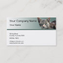 Recherche de yeux verts cartes visite Animaux