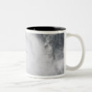 Search for cyclone mugs Outdoors
