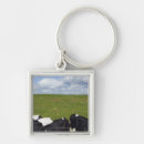 Search for pastural keychains Agriculture