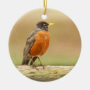 Search for red robin ornaments Robins