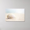 Search for seashell pictures canvas prints Copy space