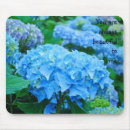 Search for always on computer accessories Floral