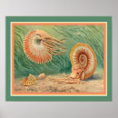 Recherche de corail turquoise posters Tropical